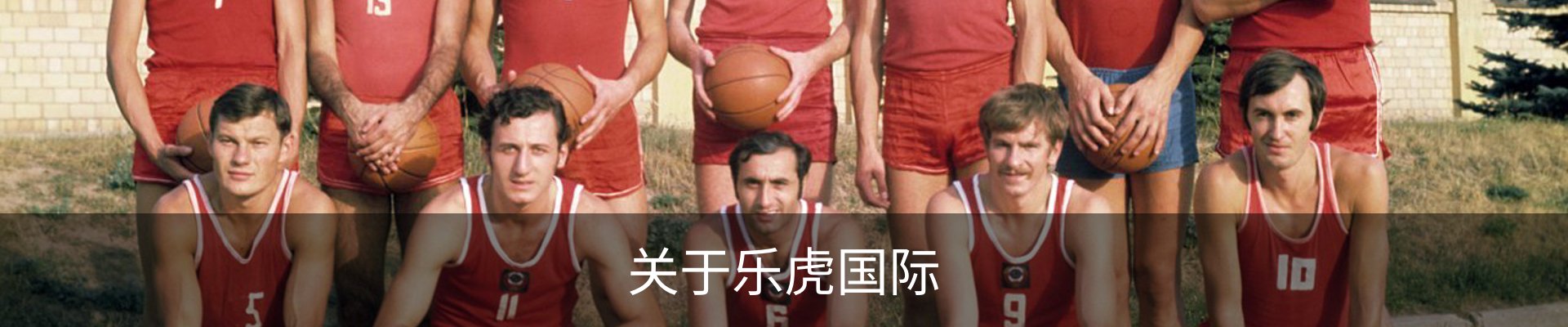 关于乐虎国际