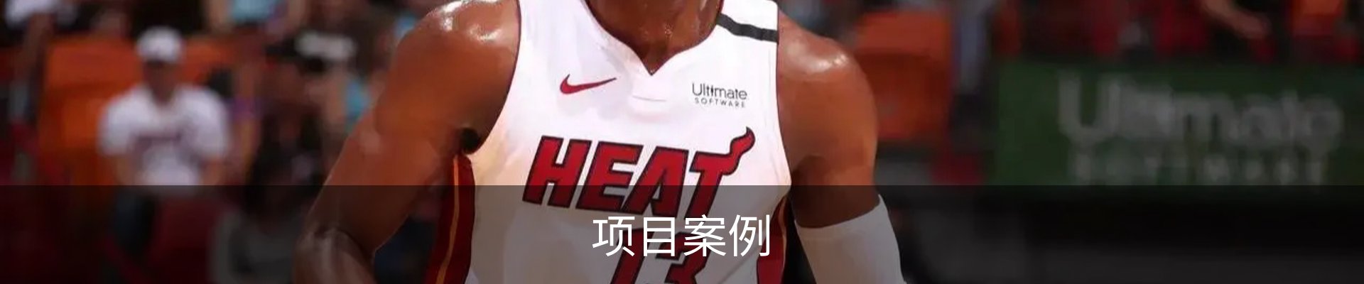 项目案例